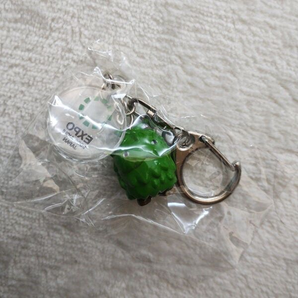 モリゾー キーホルダー モリコロパーク ジブリパーク