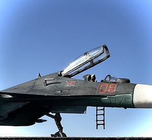 1/144 Sukhoi Su-30 FG / エフトイズ Su-30 フランカー カザフスタン空軍 完成品