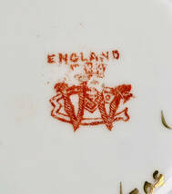 １８９１年　　　　シェリーワイルマン染付けリリーシェイプ２色刷りケンジントンパターンカップアンドソーサー　　A_画像10