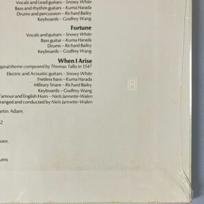 スノーウィ・ホワイト「ランド・オブ・フリーダム」日本盤レコード,LP, Snowy White, ROCK, ロック, ギタリスト,GUITARISTの画像5