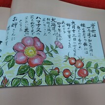 d-536　千の風に舞う翼　翼の会作品集　三浦花梨　2007年　絵手紙※2_画像3