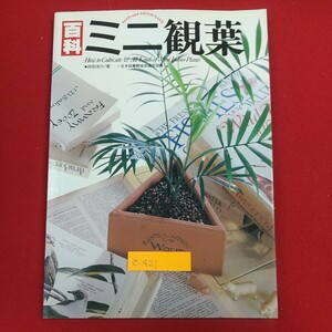 e-421※2 園芸 百科ミニ観葉 井手洋介 1994年1月 第10刷発行 ひかりのくに株式会社 日本図書館協会選定図書 ミニ観葉植物バラエティー