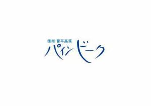 パインビーク 菅平パインビークスキー場 電子レーサーズパス[大人] 複数枚可