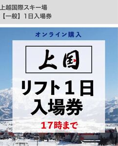 上越国際スキー場 【一般】1日入場券　大人