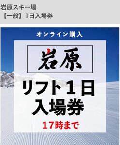 岩原スキー場 1日入場券 1枚