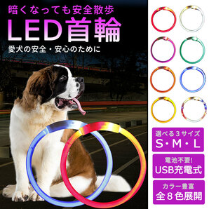 【光る首輪 レインボー Lサイズ】犬用 首輪 犬 おしゃれ 光る 充電式 LEDライト USB充電式 ペット 小型犬 中型犬 大型犬 散歩 夜の画像1