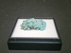天然鉱物標本 ターコイズ(トルコ石) 誕生石 プラケース入(3)
