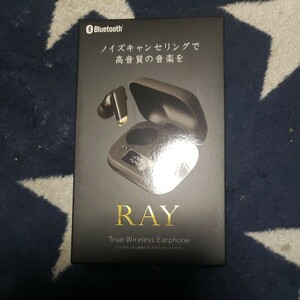 Bluetooth　ノイズキャンセル機能付き　ワイヤレスイヤホン　RAY