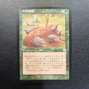 MTG マジックザギャザリング　旧枠　食物連鎖　メルカディアン・マスクス　エンチャント（場）　レア　日本語