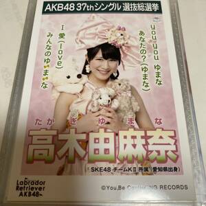 AKB48 高木由麻奈 ラブラドールレトリバー 劇場盤 生写真 選抜総選挙 選挙ポスター SKE48