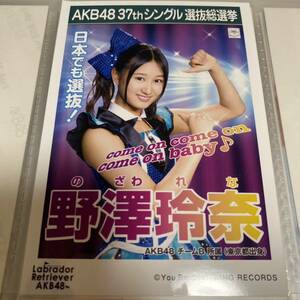 AKB48 野澤玲奈 ラブラドールレトリバー 劇場盤 生写真 選挙ポスター 選抜総選挙