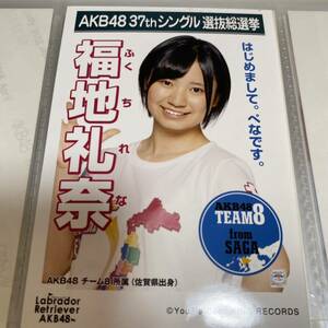 AKB48 福地礼奈 ラブラドールレトリバー 劇場盤 生写真 選挙ポスター 選抜総選挙 チーム8