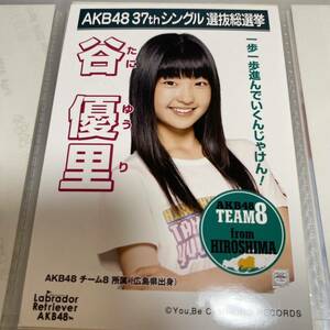 AKB48 谷優里 ラブラドールレトリバー 劇場盤 生写真 選挙ポスター 選抜総選挙 チーム8