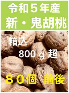 【送料無料】令和5年★新潟★新・鬼胡桃★ネコポス満タン★殻付き鬼くるみ 箱込み800g★