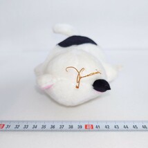 うる星やつら こたつねこ ぬいぐるみ バンプレスト 当時物/プライズ景品用 ゲームセンター とるとるキャッチャー_画像4