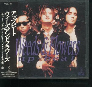 即決CD UP-BEAT アップ・ビート/Weeds & Flowers 広石武彦 ウィーズ・アンド・フラワーズ