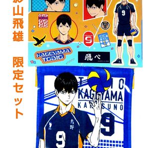 【クーポン200円引き(取得必要)~5月19日迄・未開封】ハイキュー!! 影山飛雄 限定セットファミリーマート グリーンダカラ