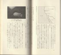 須賀潮美　ダイビングの世界　新赤版　岩波新書　岩波書店　初版_画像2