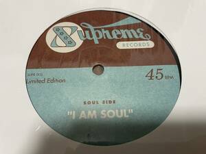 Common & Jill Scott - I Am Soul / レコード / Lil' Louis & The World - Nice N Slow / Supreme Records SUPR 003 