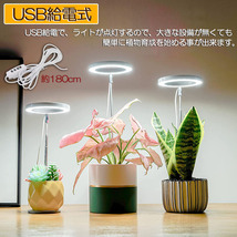 LED植物育成ライト 植物育成ライト 鉢植えに差し込む 4段階調光 LED 植物ライト 植物育成ランプ 観葉植物用ライト 室内栽培ランプ 1個のみ_画像4