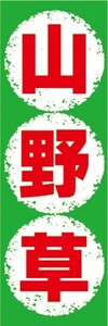 最短当日出荷　のぼり旗　送料185円から　br2-nobori24804　山野草　山草　草花