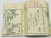 「浪華芳譜 下巻」1冊 大熊春川編 安政4年刊｜和本 古典籍 絵本 絵入本 地誌 名所図会 大阪 伝記 書画 篠崎小竹 上田公長 広瀬旭荘_画像7