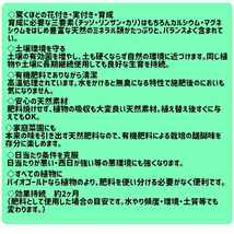 肥料 バイオゴールド オリジナル 900g 天然 有機肥料 天然素材 純菌発行 養分供給 窒素 リン酸 カリ 肥効 約2ヶ月 盆栽肥料 園芸用品_画像4