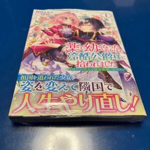 薬で幼くなったおかげで冷酷公爵様に拾われました 捨てられ聖女は錬金術師に戻ります 1 特典付き