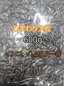 ひまわりの種 大粒 600g ひまわりの種 鳥の餌 小動物の餌 オウム インコ ハムスター