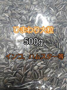 ひまわりの種 大粒 500g ひまわりの種 鳥の餌 小動物の餌 オウム インコ ハムスター