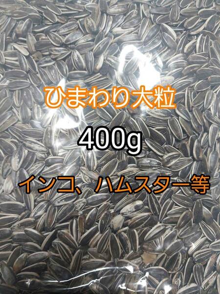 ひまわりの種 大粒 400g ひまわりの種 鳥の餌 小動物の餌 オウム インコ ハムスター