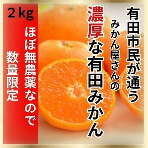 【10箱限定】訳あり特価！ほぼ無農薬!濃くて甘くて安心で安い！有田みかん 2kg