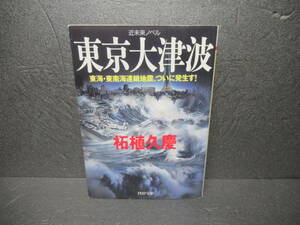 東京大津波　近未来ノベル　東海・東南海連鎖地震、ついに発生す！ （ＰＨＰ文庫） 柘植久慶／著