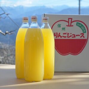 長野県産サンふじ100%りんごジュース6本入り