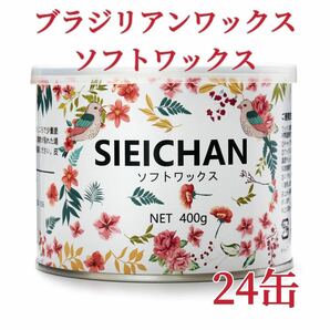 ブラジリアンワックス　ソフトワックス　24缶　ブラジリアン脱毛ワックス　送料込み-①