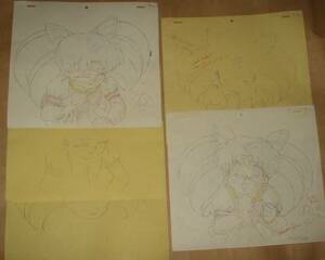  Pretty Soldier Sailor Moon set higashi . animation 