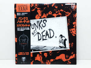 【レコード】 LP盤　エクスプロイテッド　パンクス・ノット・デッド　THE EXPLOITED　PUNKS NOT DEAD