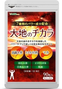 大地のチカラ 約3ヶ月分(90粒入)(粒重量460mg/1粒内容量300mg×90粒)大地の溢れるチカラを凝縮！毎日の生活に活力を！