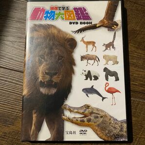 DVD 動物大図鑑　宝島社