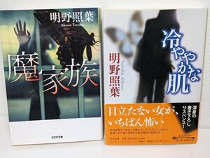 明野照葉 小説セット / 魔家族 冷ややかな肌 光文社文庫 中公文庫 ミステリー サスペンス 本 読書