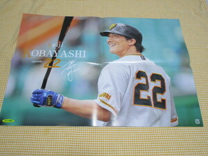 読売ジャイアンツ　巨人　スポーツ報知　ポスター　坂本 勇人　小林 誠司　プロ野球　　　