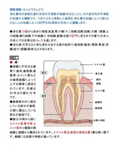 登録販売者(全科目収録)　2024年受験用_画像4