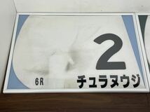 CK22r 競走馬 レース実使用 ゼッケン 2点 まとめて チュラヌウジ 2 ピアレスピンク 8 競馬 出走馬 騎手騎乗 白_画像2