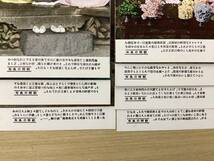 絵葉書 7枚 +袋切取1枚 朝鮮の風俗 天下大将軍と地下女将軍 『きぬた』を打つ婦人 結婚式 ほか 民族衣装 朝鮮 韓国 ポストカード （A331_画像7