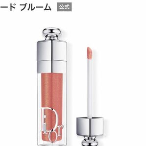  リップ アディクト Dior ディオール アディクトリップマキシマイザー 051 ヌードブルーム 限定色 定価以下