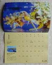 ■２０２４年　壁掛けカレンダー　水族館の人気者カレンダー　未使用　_画像1