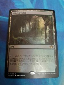 mtg 　新緑の地下墓地　日本語　foil　数量4