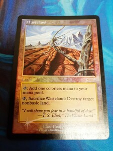 mtg 不毛の大地　英語　foil　プロモ　褒賞プログラム　その1