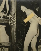 稀少『緊縛写真 パネル 責め絵』検)縄 SM 春画 ストリップ 風俗資料 伊藤晴雨 小妻要 前田寿安 笠間しろう_画像1