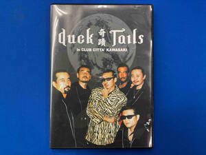 duck tails 奇蹟 in CLUB CITTA’ KAWASAKI